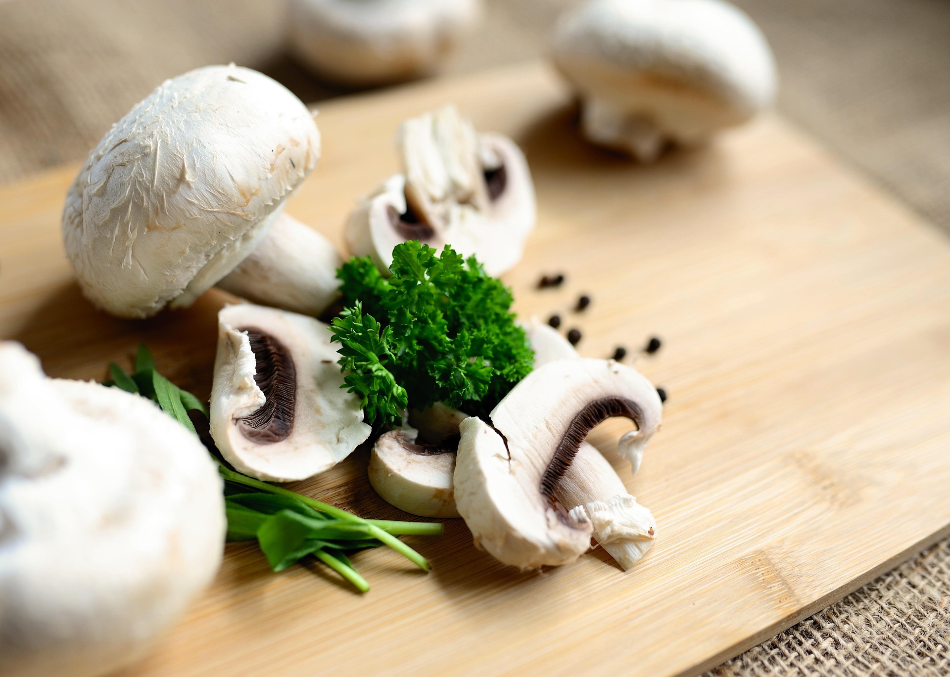 congerdesign-mushrooms-6320451_1920 congerdesign-mushrooms-6320451_1920